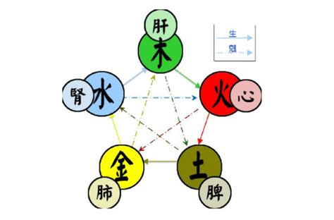 五行中的金|五行（对万事万物的取象比类）